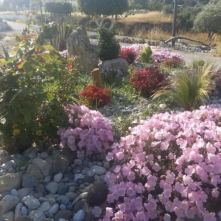 Antonis * Kos Town